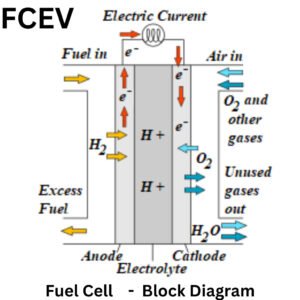 Fuel Cell Electric Vehicles (FCEV)